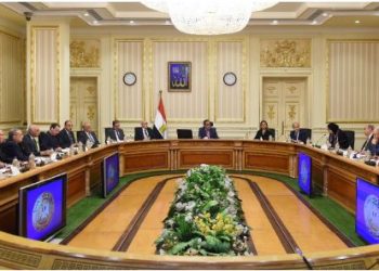 متحدث مجلس الوزراء يكشف تفاصيل اجتماع الحكومة الأسبوعي