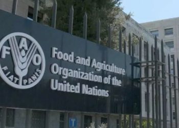 “فاو” تعتمد قرارا حول “الأمن الغذائي” في غزة.. وفلسطين ترحب