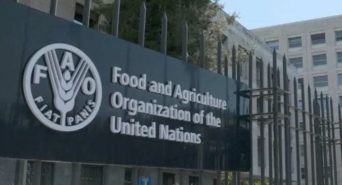 “فاو” تعتمد قرارا حول “الأمن الغذائي” في غزة.. وفلسطين ترحب