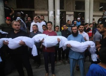 19902 شهيد و55 ألف جريح منذ بدء العدوان الإسرائيلي على غزة والضفة