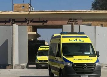 وزير الصحة : نقل الأطفال الخدج فور وصولهم رفح إلى مستشفيات القاهرة والعريش