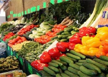 حالة استقرار .. تعرف على أسعار الخضراوات اليوم الخميس  18 يناير