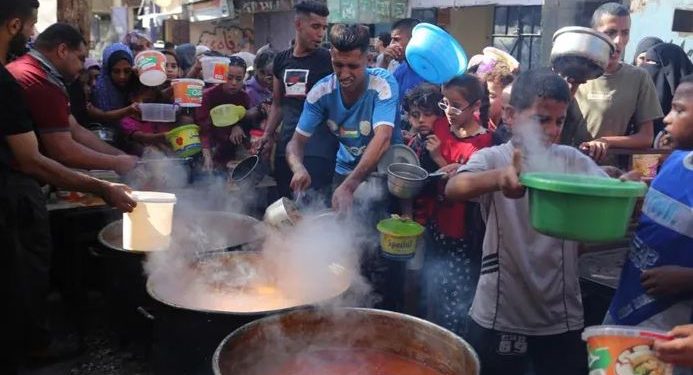 مأساة حقيقية .. 1.8 مليون غزاوي بلا مأوى و40% من المناطق الحضرية بفلسطين أُبيدت