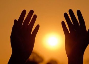 أمين الفتوى: الدعاء مستجاب في روضة رسول الله