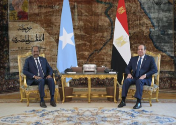 السيسي ونظيره الصومالي يوقعان بروتوكول تعاون عسكري لزيادة التعاون بين البلدين