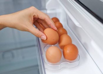 إحالة 21 من تجار بيض المائدة إلى النيابة العامة لتلاعبهم بالأسعار