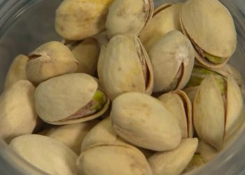 فوائد الجوز البرازيلي: مكونات غذائية غنية لدعم صحة الجسم