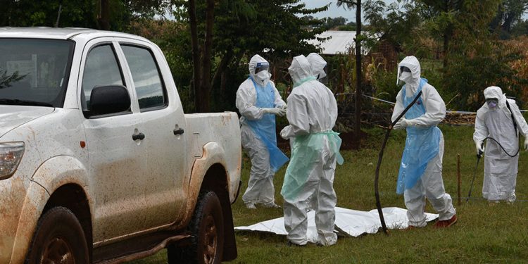 ارتفاع الوفيات جراء فيروس ماربورغ في رواندا