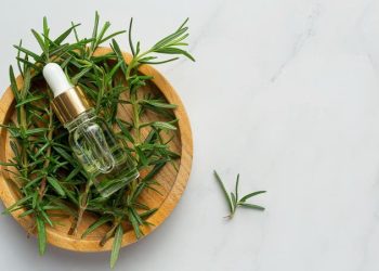 ماء الروزماري: بين الفعالية العلمية والشهرة على “تيك توك”