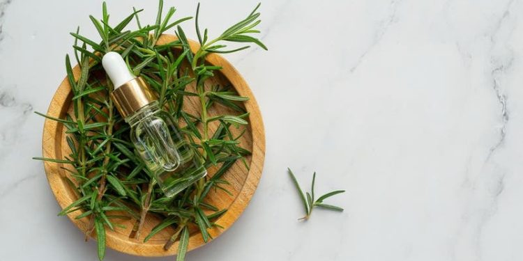 ماء الروزماري: بين الفعالية العلمية والشهرة على “تيك توك”