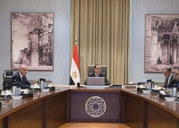 مصر تُعزز التعاون مع دول حوض النيل لدعم التنمية والاستقرار الإقليمي