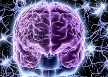 دراسة: الرياضة والنوم العميق.. أسرار تعزيز وظائف الدماغ وتأخير الشيخوخة