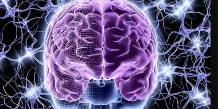 دراسة: الرياضة والنوم العميق.. أسرار تعزيز وظائف الدماغ وتأخير الشيخوخة