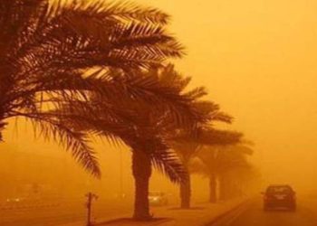 تحذيرات صحية من فيروسات أمشير وتأثيرها على الطلاب في الفصل الدراسي الثاني