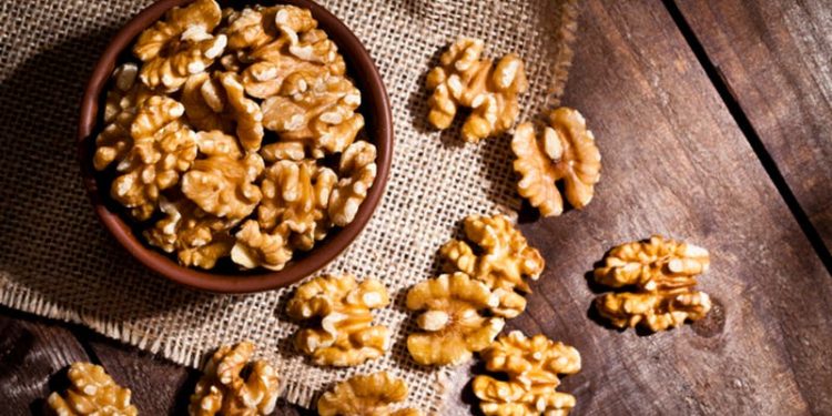 الجوز.. غذاء سحري لتعزيز نشاط الدماغ وتحسين الذاكرة