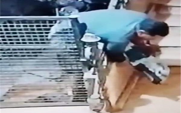 القبض على لص مواتير المياه من العمارات السكنية بقليوب