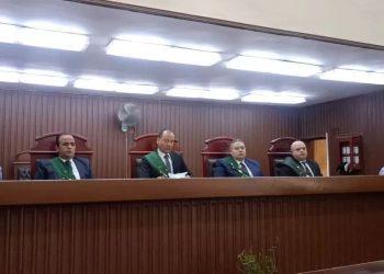 بسبب مشادة عائلية دامية.. تأجيل محاكمة “بقال قليوب” المتهم بقتل شقيقه لمايو المقبل