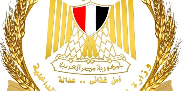 هل سيتم زيادة رغيف الخبز المدعم بعد ارتفاع أسعار السولار.. التموين ترد على الشائعات