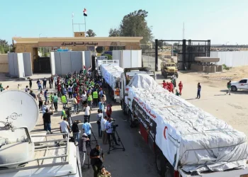 قادمة من مصر.. شاحنات محملة بالطحين في طريقها إلى غزة