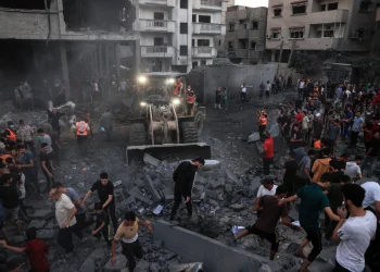 من دير البلح: استمرار دخول المساعدات المصرية يخفف من حدة الكارثة الإنسانية في غزة