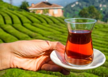  الشاي.. مشروب عالمي على كل الموائد له فوائد صحية (تعرف عليها)