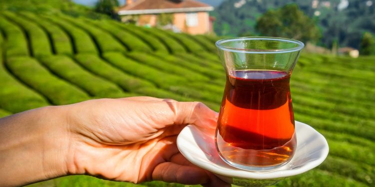  الشاي.. مشروب عالمي على كل الموائد له فوائد صحية (تعرف عليها)