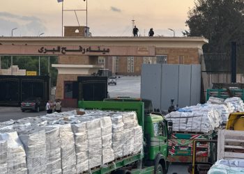 3700 طن مساعدات غذائية وإغاثية يدفعها الهلال الأحمر المصري بـ قافلة «زاد العزة» الـ 23 لـ غزة