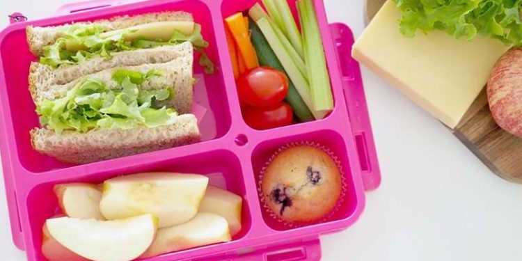 مع قرب دخول المدارس.. استشاري تغذية يوضح مواصفات “اللانش بوكس” الصحي