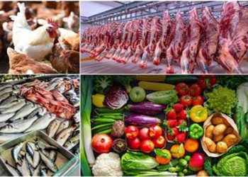 ننشر أسعار اللحوم والاسماك والدواجن والخضروات اليوم السبت 20 سبتمبر 2025