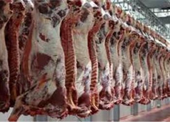 الأستقرار ..ننشر أسعار اللحوم اليوم الخميس 25 سبتمبر
