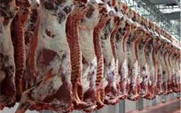 الأستقرار ..ننشر أسعار اللحوم اليوم الخميس 25 سبتمبر