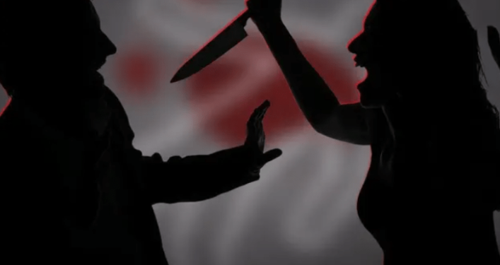 بسبب الخلافات الزوجية.. سيدة تنهى حياة زوجها بسكين بالمحلة الكبرى 