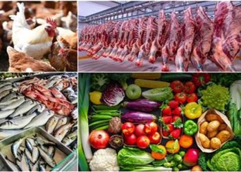 ننشر أسعار الخضروات والفاكهة والأسماك واللحوم والدواجن اليوم 23 أكتوبر