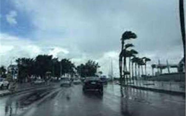 رياح وشبورة وأجواء خريفية مائلة للبردة .. الأرصاد الجوية تحذر من طقس الأربعاء