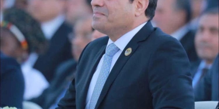 أسد مصر فخامة الرئيس عبد الفتاح السيسي