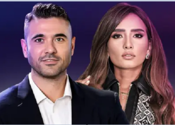 تفاصيل حجز دعوة زيادة نفقة توأم الفنانة زينة ضد أحمد عز لـ 11 نوفمبر
