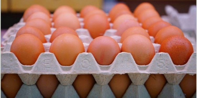 حالة من الاستقرار ..ننشر طبق البيض المائدة اليوم السبت 18 أكتوبر