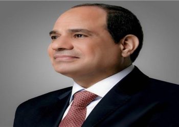 الرئيس السيسي يتابع  مشروع الدلتا الجديدة ومستجدات الموقف التنفيذي له