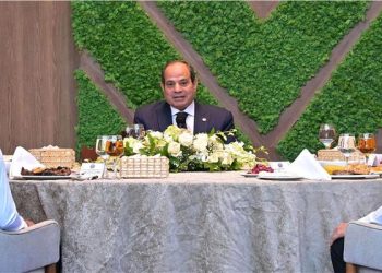 السيسي: محطة الضبعة إضافة استراتيجية لمصر ..وخسرنا 8 مليارات دولار من إيرادات قناة السويس