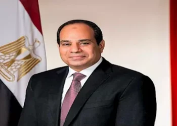 الرئيس السيسى: 30 مليار جنيه حجم الدعم المقدم للبوتاجاز فقط