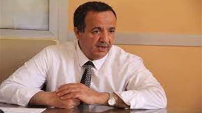 متحدث الجيزة: 15 جنيه أجرة عادلة لمركبات الإحلال البديلة للتوك توك