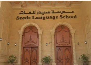 ننشر تفاصيل استدراج 5 أطفال بـ مدرسة دولية بالسلام والاعتداء عليهم .. القصة الكاملة