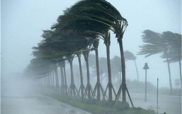 الأرصاد الجوية تحذر برودة الطقس في احتفالات رأس السنة