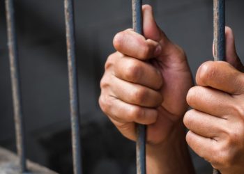 إخلاء سبيل مدير مصنع إنتاج مخصبات زراعية مغشوشة بالمنوفية بكفالة