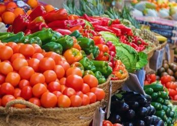 3 جنيه سعر الطماطم ..ننشر أسعار الخضروات اليوم الثلاثاء 16 ديسمبر 2025