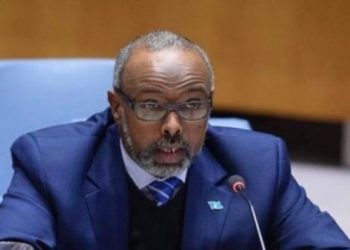 مندوب الصومال بـ مجلس الأمن: نرفض اعتراف إسرائيل بأرض الصومال وتهجير الفلسطينيين