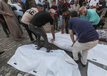 مجمع ناصر الطبي: شهيد بنيران الاحتلال الإسرائيلي في المواصي غرب خان يونس