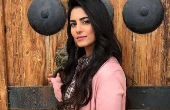 «أعشق الكوميديا ونجاحي في كفر دلهاب أكبر من توقعي».. 10 معلومات عن ولاء الشريف