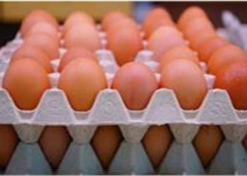 حالة من الاستقرار .. ننشر أسعار البيض اليوم الإثنين 16 فبراير 2026