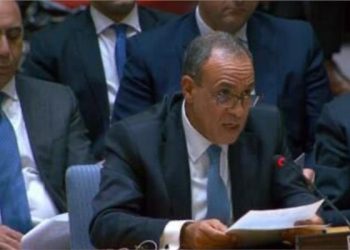 بدر عبد العاطي يشدد على ثبات الموقف المصري تجاه القضية الفلسطينية